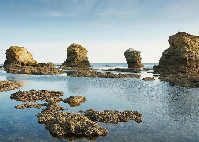 Tatil Evi Sejour Detente Jacuzzi & Sauna Et Plage A 200M Saint-Hilaire-de-Riez