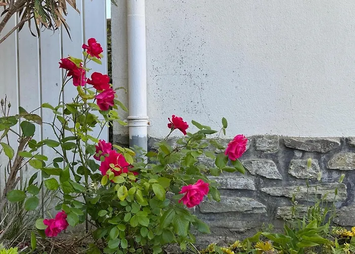 Sejour Detente Jacuzzi & Sauna Et Plage A 200M Saint-Hilaire-de-Riez